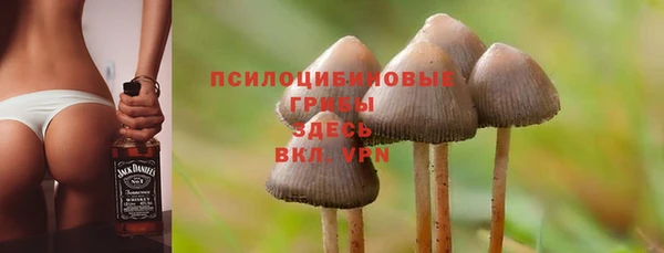 а пвп мука Армянск