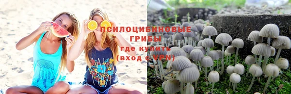а пвп мука Армянск