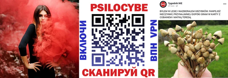 Псилоцибиновые грибы Magic Shrooms  Руза 